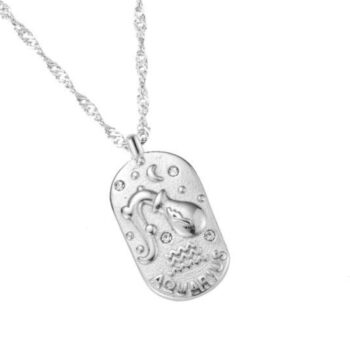 Stjernetegn halskæde vandmanden sølv belagt med zirkonia sten 40+7 cm 110941-15